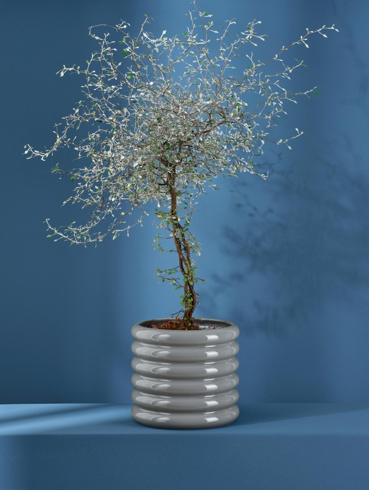 planter, cool gray (Ø21.5 × H23 cm)
