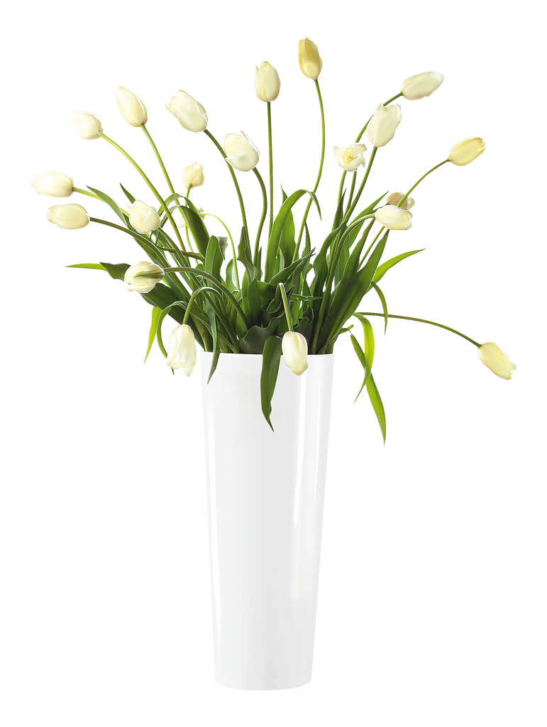 vase, weiß