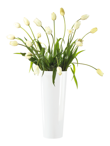 vase, weiß