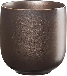 ASA Coppa Ferro 19081426 Tea Cups Set of 2 Porcelain Brown 0.2 L Size: 7.5 cm x 7.5 cm