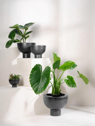 übertopf auf fuß, black