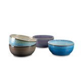 poké bowl set "provence"