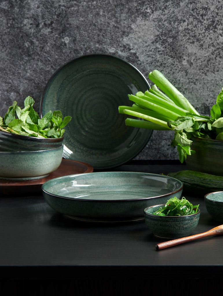 poké fusion plate, ocean