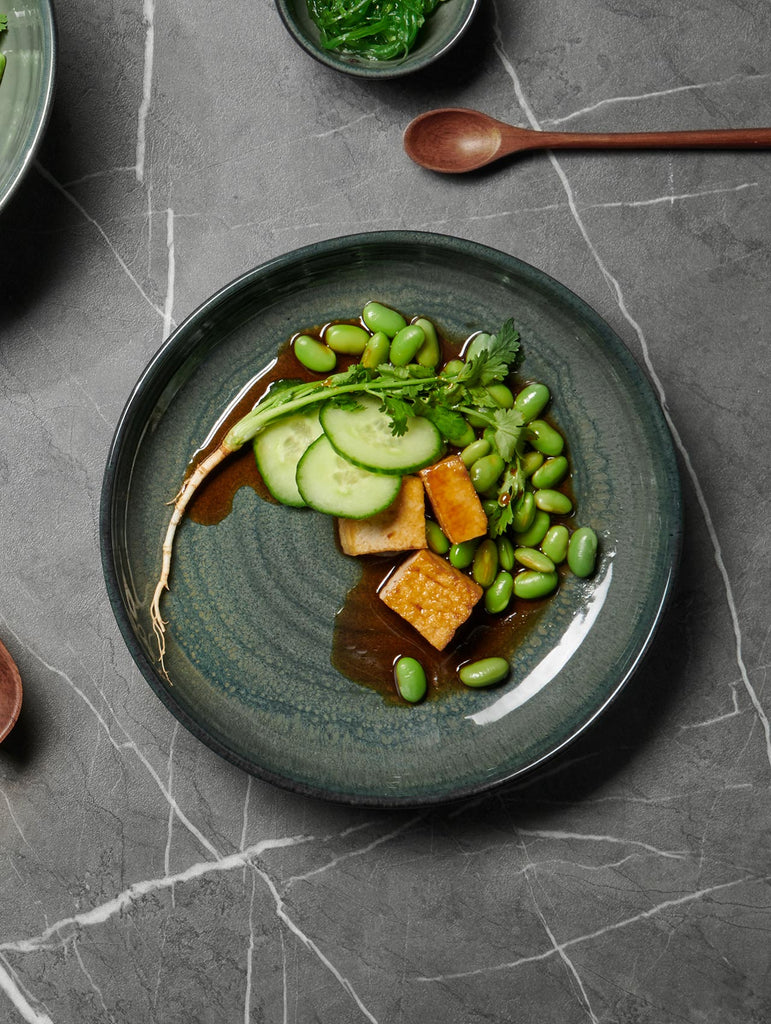 poké fusion plate, ocean