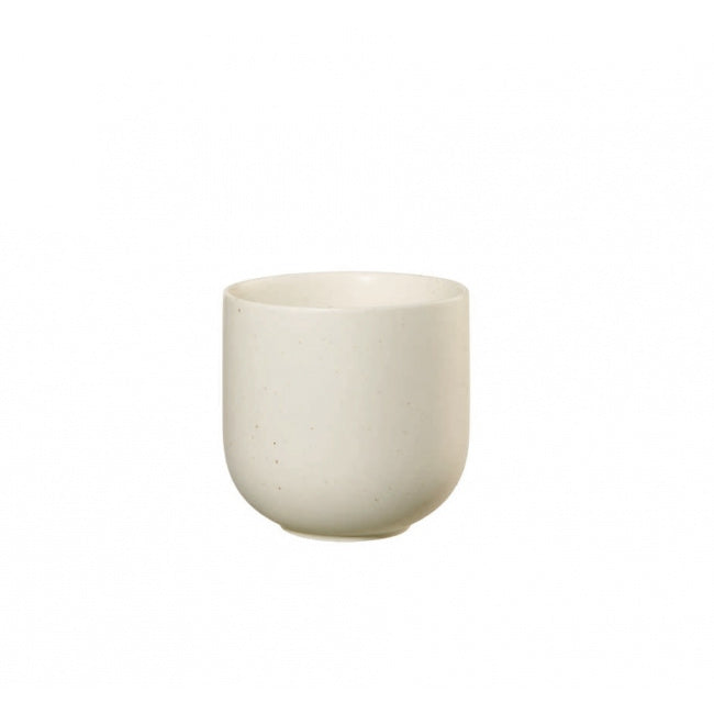 Coppa Sencha Plate 24cm for Appetizers